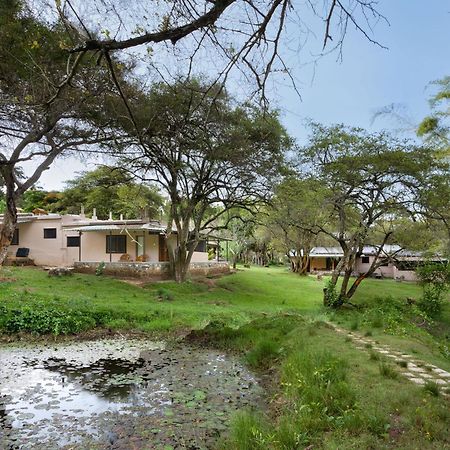 Hotel Jungle Hut Masinagudi Exterior foto