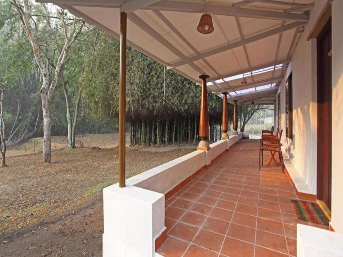 Hotel Jungle Hut Masinagudi Exterior foto