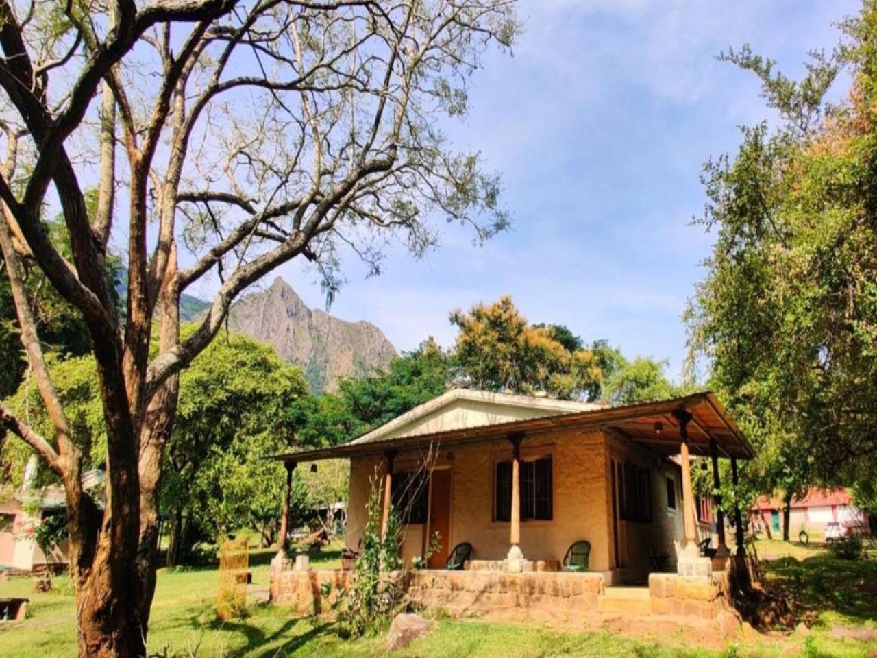 Hotel Jungle Hut Masinagudi Exterior foto