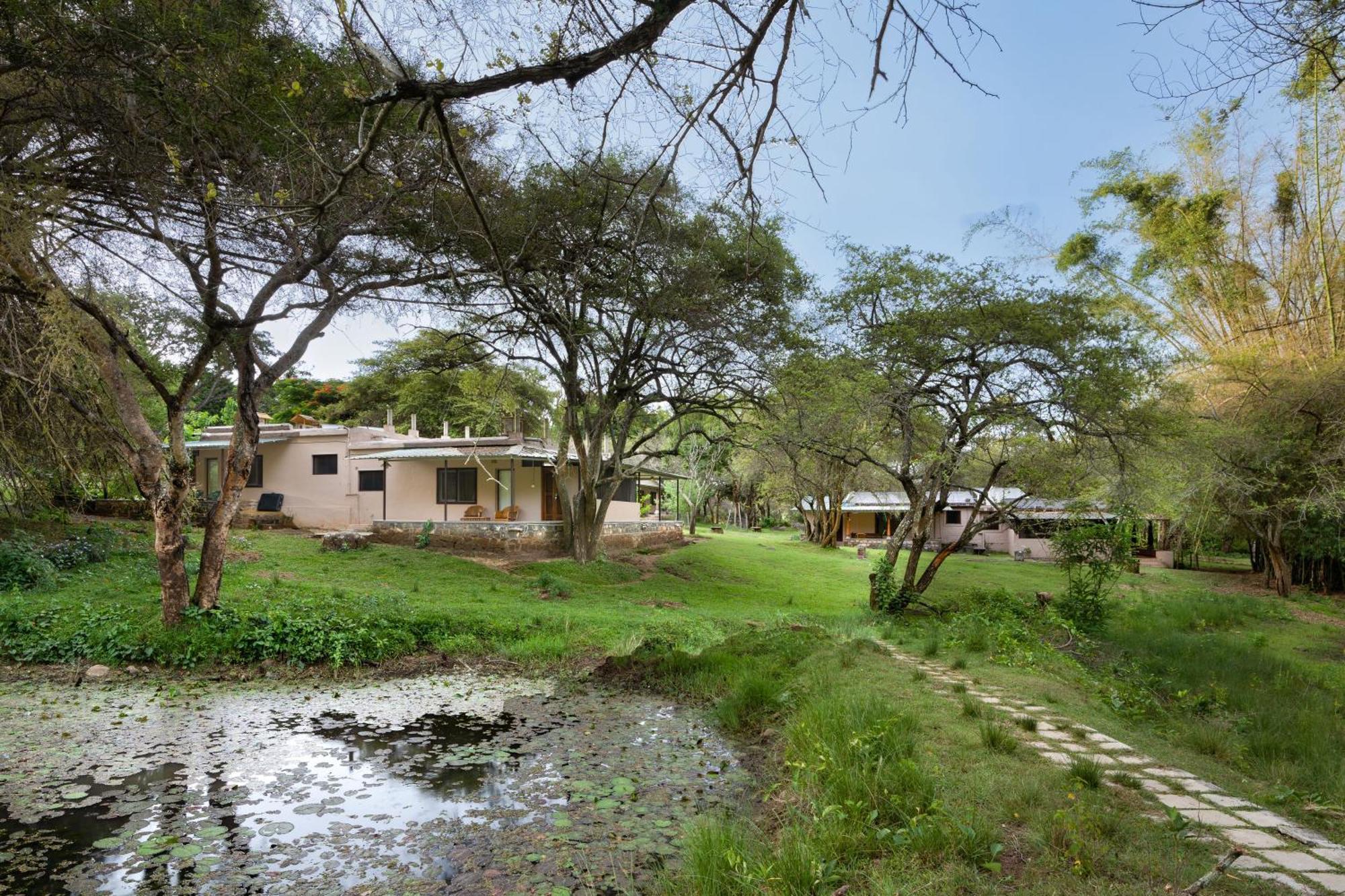 Hotel Jungle Hut Masinagudi Exterior foto